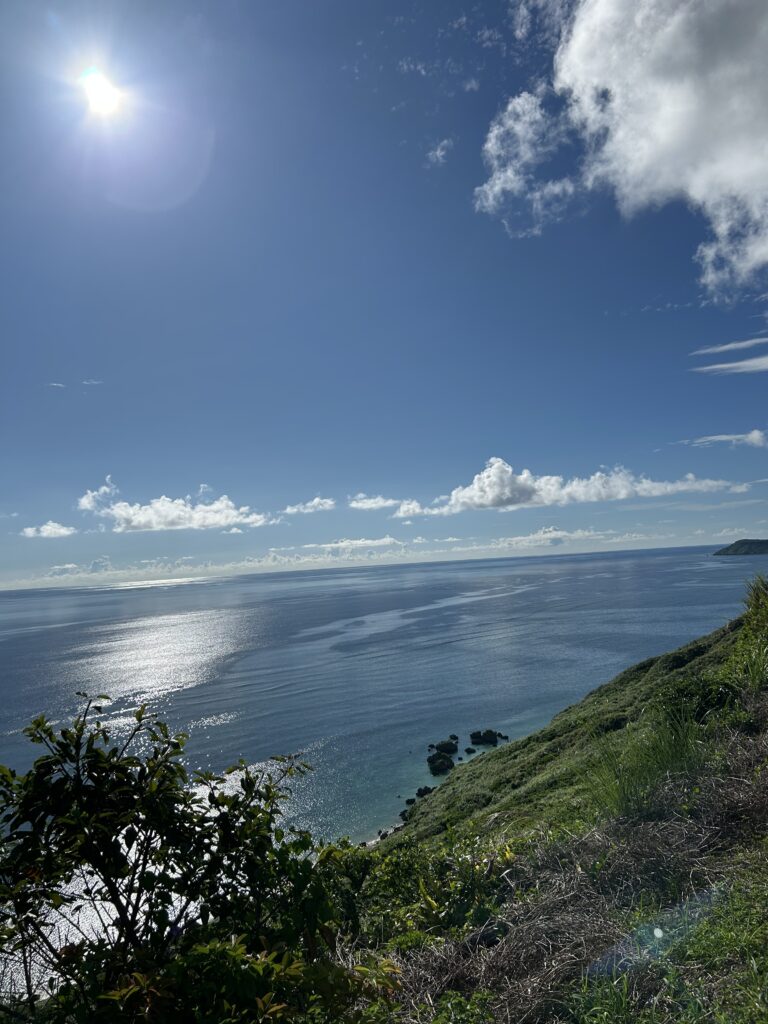 新城海岸の透き通った海