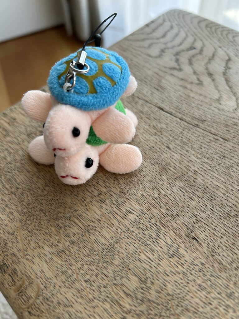 宮古島のウミガメぬいぐるみ