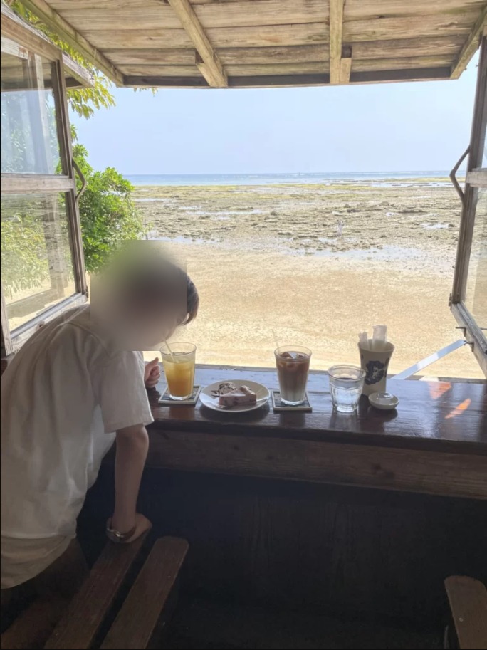 浜辺の茶屋の看板猫を撫でる子どもたち