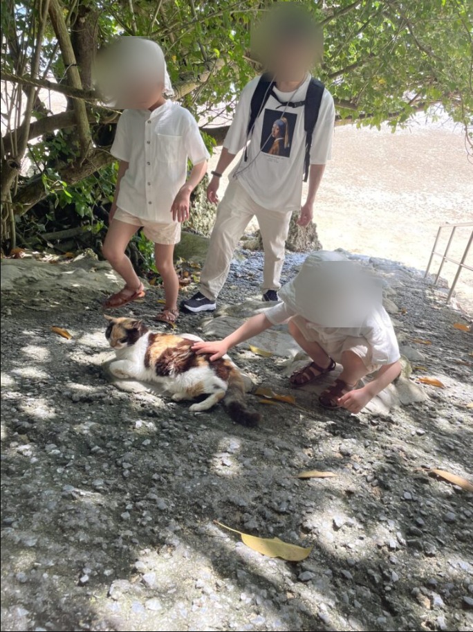 浜辺の茶屋の浜辺でカニやヤドカリを観察する子どもたち