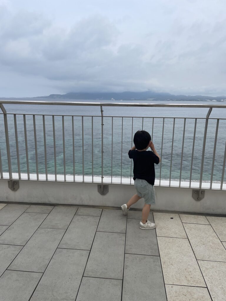 道の駅許田から見える海の景色